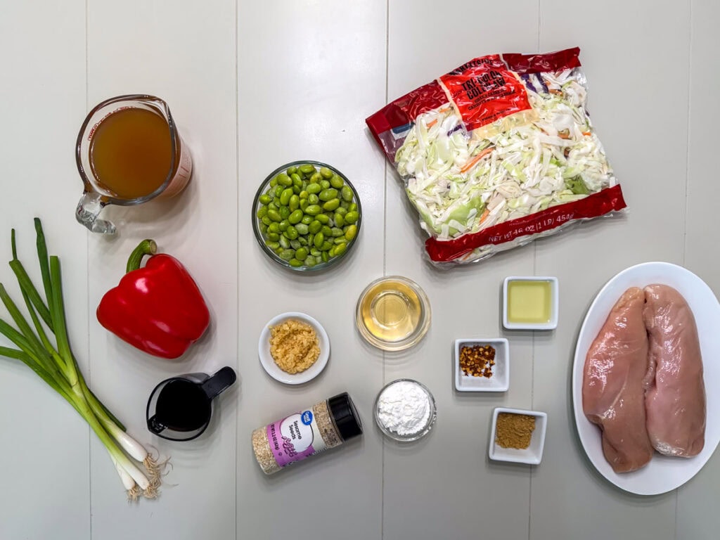 All of the ingredients measured out and ready to make the Chicken and Cabbage Stir Fry.